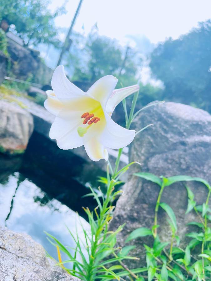 Shiga Biwa Lake Shanshui House Takashima المظهر الخارجي الصورة